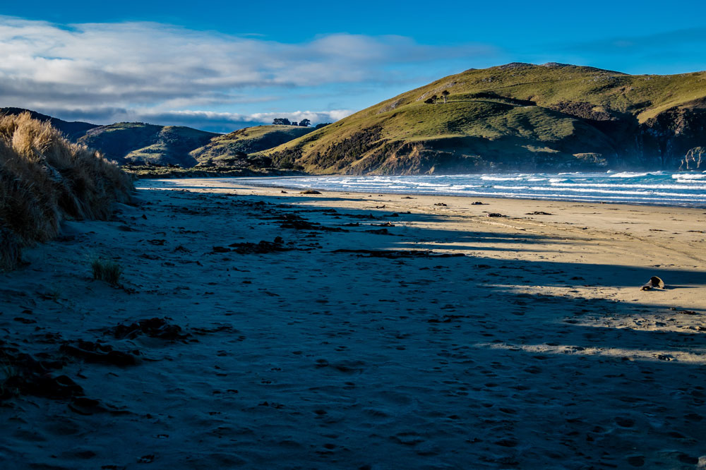 New Zealand